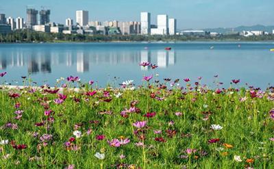 开启美颜模式 四川天府新区“花式”迎大运