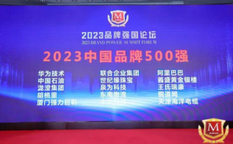荣获2023中国品牌500强！揭秘胡桃里的成功模式！