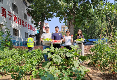 中国铁工投资魏县项目职工绿色“小菜园”喜获丰收