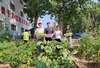 中國(guó)鐵工投資魏縣項(xiàng)目職工綠色“小菜園”喜獲豐收