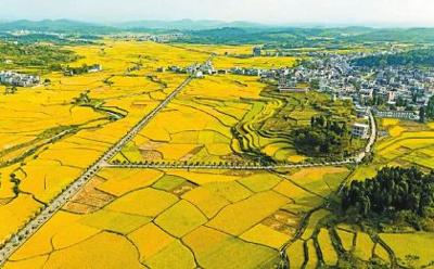 《四川省农业农村减排固碳实施方案》印发 明确六大重点任务十项重大行动