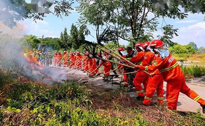 敢啃森林防火硬骨頭的“老防火”