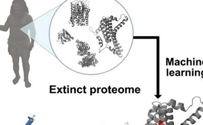 AI合成出人类祖先抗菌分子