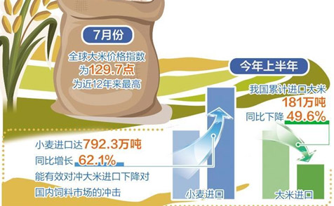 国际米价高企对我国影响有限