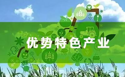 提升農(nóng)業(yè)特色產(chǎn)業(yè)鏈競爭力