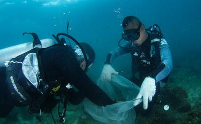 加大海洋生态环境保护 合力守护碧海银滩——当前海洋生态环境保护相关问题回应
