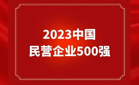 “2023中國民營企業(yè)500強(qiáng)”榜單透視