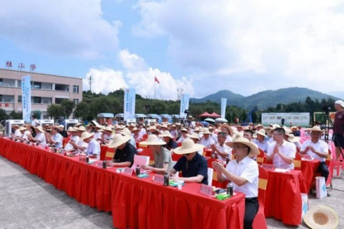 14 2023年安溪县农民丰收节暨龙门茭白生活节隆重举办181.png