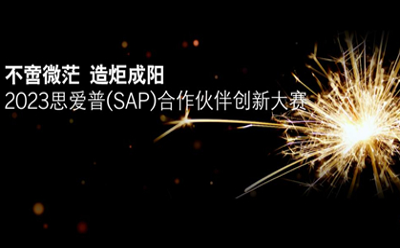 喜报！ITL荣获“SAP合作伙伴创新大赛”白金奖