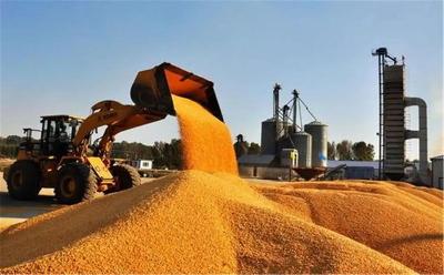 超越美国！巴西将成世界最大玉米出口国