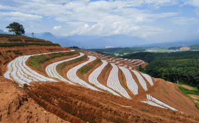 鄉(xiāng)村振興丨云嶺大地秋冬種管忙