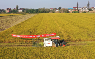 “科技范”點亮“江淮糧倉”