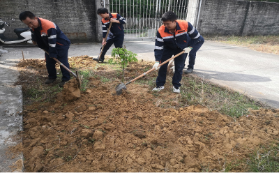 自己動(dòng)手建家園，大家動(dòng)起來！