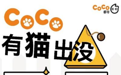 萌宠经济怎么玩？"CoCo有猫出没"强势吸粉