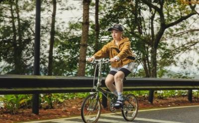 当马甲线遇上DAHON BOARDWALK D10，复古风潮也要一马当先