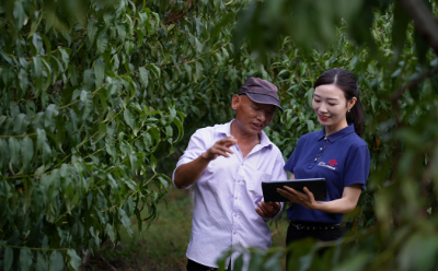 聯(lián)通好服務(wù) 用心為客戶——全力助農(nóng)的湖北聯(lián)通政企客戶經(jīng)理操灼