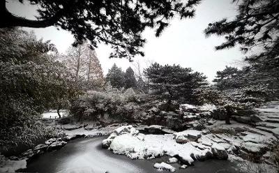 白雪皑皑联想生