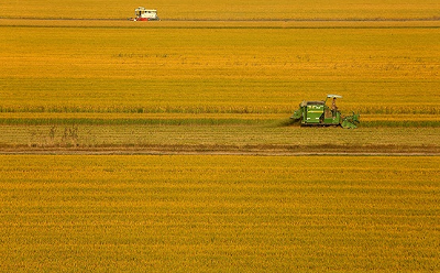 我国确定2024年粮食生产总体目标