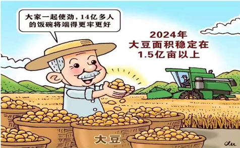 中国稳粮新看点！“金豆豆”1.5亿亩以上