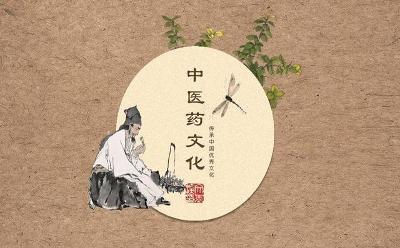 张洪春委员：促进中医药文化和知识普及