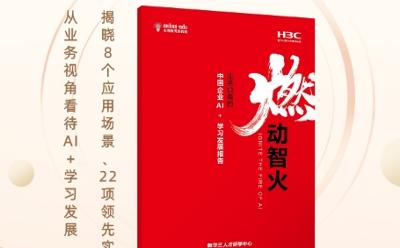 新华三发布业界首份《燃动智火——业务视角的中国企业AI+学习发展报告》！