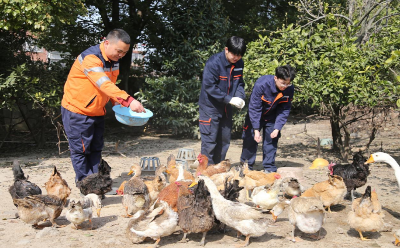 “幸福农场”凝聚工区家文化氛围