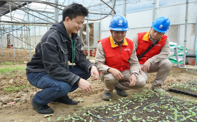 福建平潭：“電引擎”助力農(nóng)業(yè)現(xiàn)代化 電亮鄉(xiāng)村振興致富路