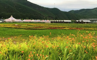 破解乡村旅游同质化难题