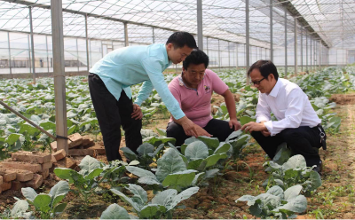 通商惠農贏天下，至誠至信澤民生