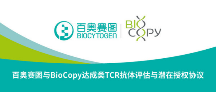 08 百奧賽圖與BioCopy達(dá)成類TCR抗體評估與潛在授權(quán)協(xié)議241.png