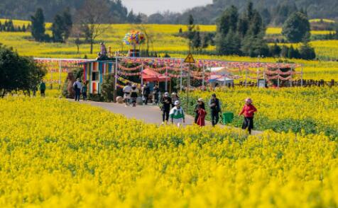 2024华侨城旅游狂欢节正式启动，文旅融合当"燃"一夏 