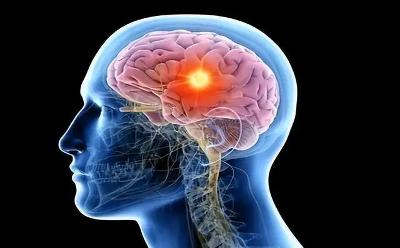 大脑类胶质淋巴系统 近红外二区活体成像首次实现