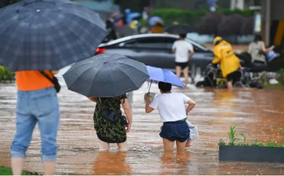 暴雨洪澇來襲，能多潔專家提醒您謹(jǐn)防蟲媒傳染病