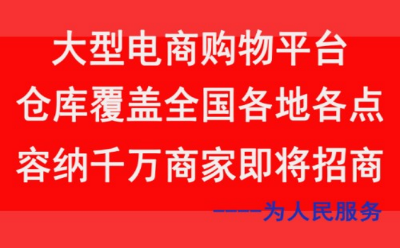 公平公正公开为人民服务的正能量大型电商购物平台服务国民的平台