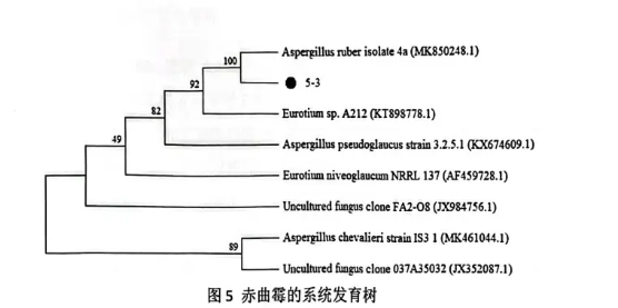 微信截圖_20240717141645.png