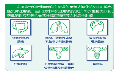 CSCO指南巡讲-珠海站：肿瘤新进展与规范化诊疗探索