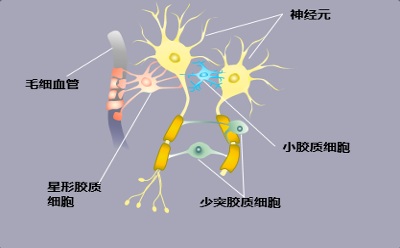  洞庭湖畔：共探新進展，攜手推進多學(xué)科診療