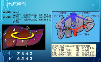 確診肝瘟后怎么辦