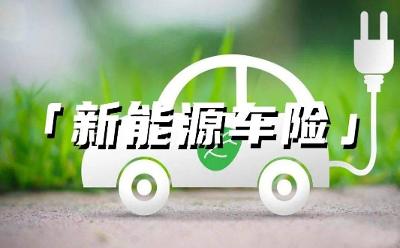 共尋新能源車險“三高”解藥