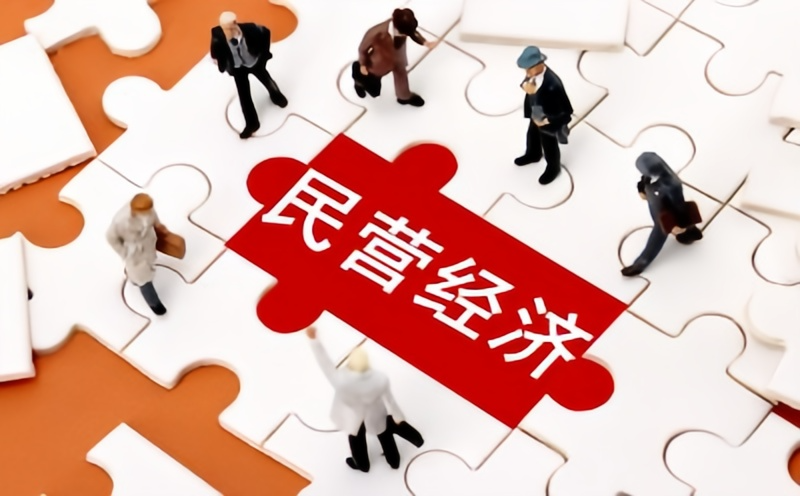 【數說經濟】增強民營企業敢闖敢拼底氣