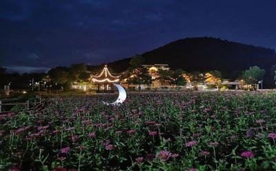 山东沂南：点亮乡村夜生活