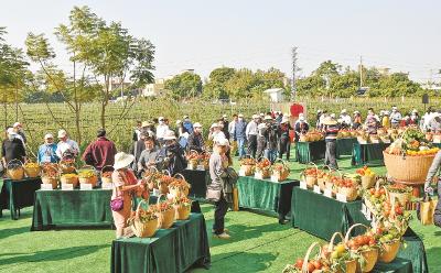 四川推动欠发达县域高质量建设现代农业园区