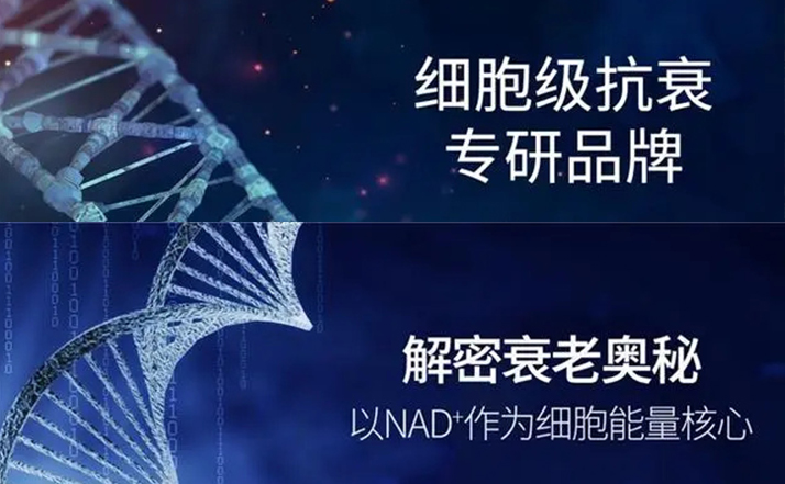 姗美博士美妆品牌发布，NAD+引领细胞能量新纪元