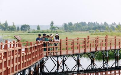 大美龍江等你來 | 伊春森林康養之旅攻略：林居生活篇