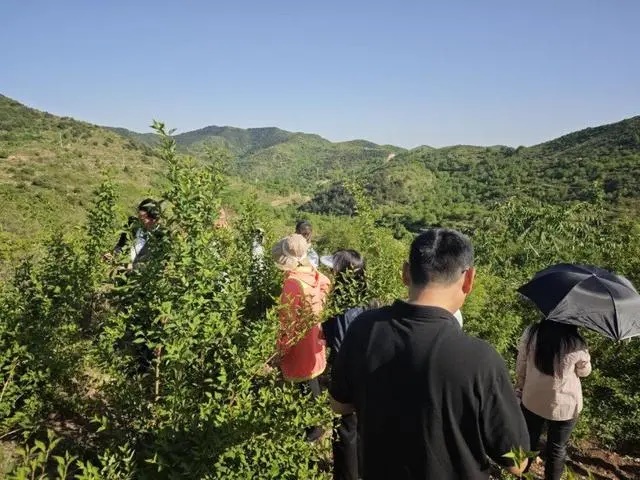 以岭药业：筑牢药材根基，护航成药品质，助力乡村振兴