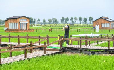 发展乡村旅游不能违法占地