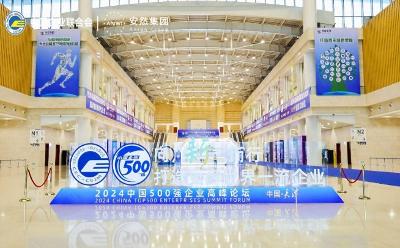 2024中國500強(qiáng)企業(yè)高峰論壇安然大健康分論壇圓滿舉辦！