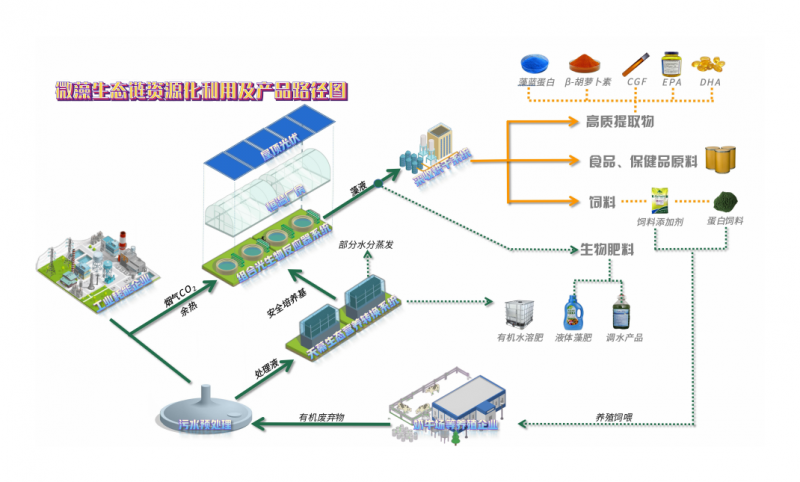 江苏藻链生态科技公司引领微藻产业革命，资本市场投资价值凸显