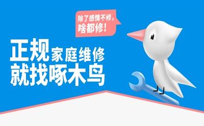 啄木鳥(niǎo)家庭維修：專(zhuān)業(yè)售后，筑就家的溫馨港灣