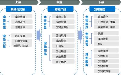 宠物行业创新先锋：乖宝宠物、景村宠物公司与瑞鹏宠物医院共筑行业新篇章